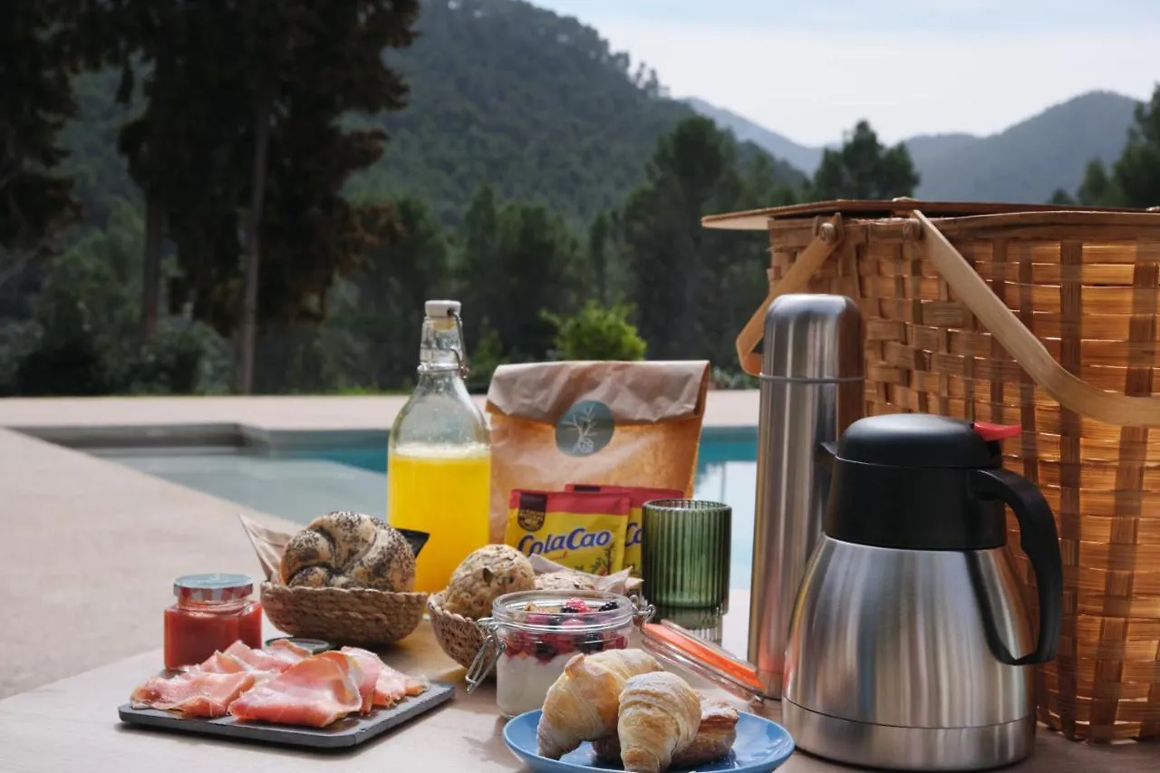 B&B Apartamentos Cortijo Penardera (Adults Only) Siles Apartment